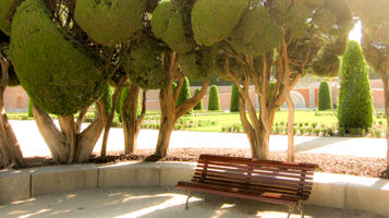 Parque del Retiro Romántico